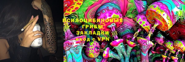 шишки Киреевск
